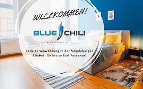 Blue Chili 02 - Md Zentral City Carre Wlan